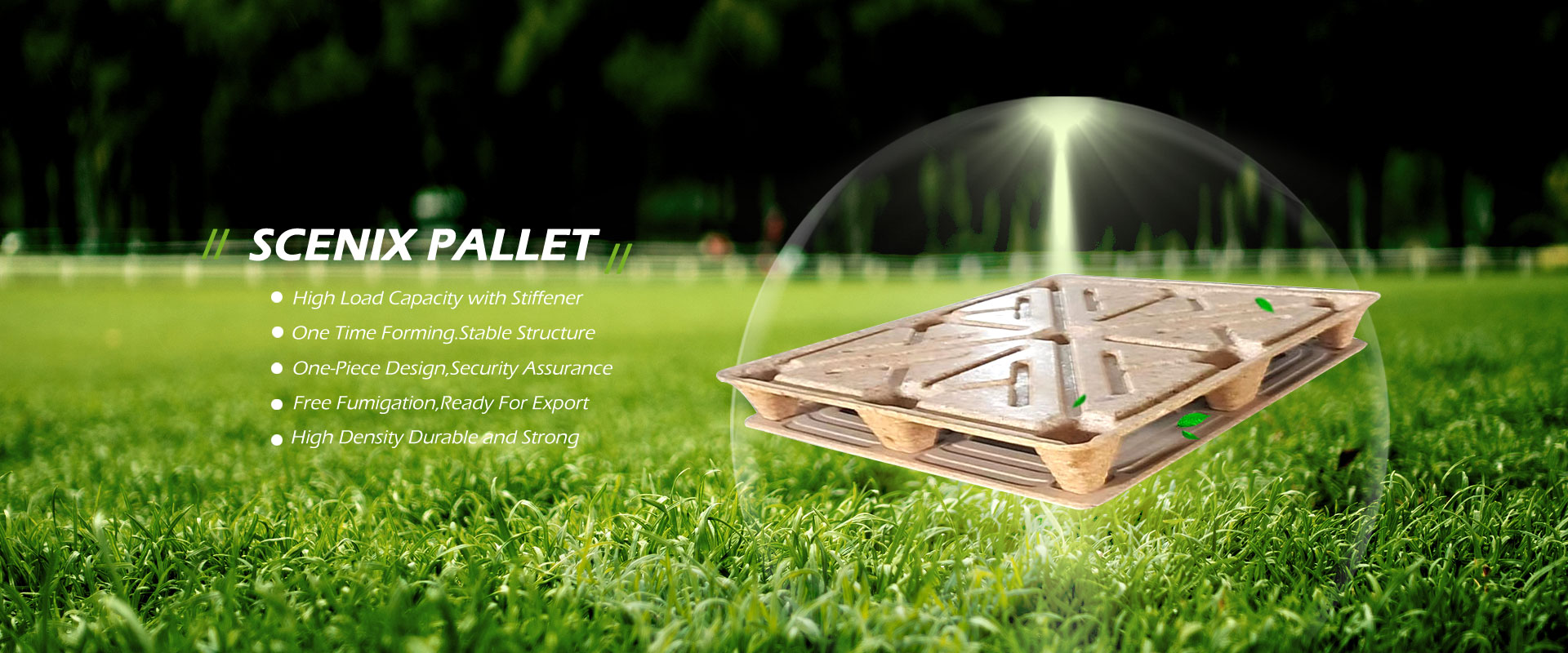 Nhà máy Pallet gỗ ép Trung Quốc